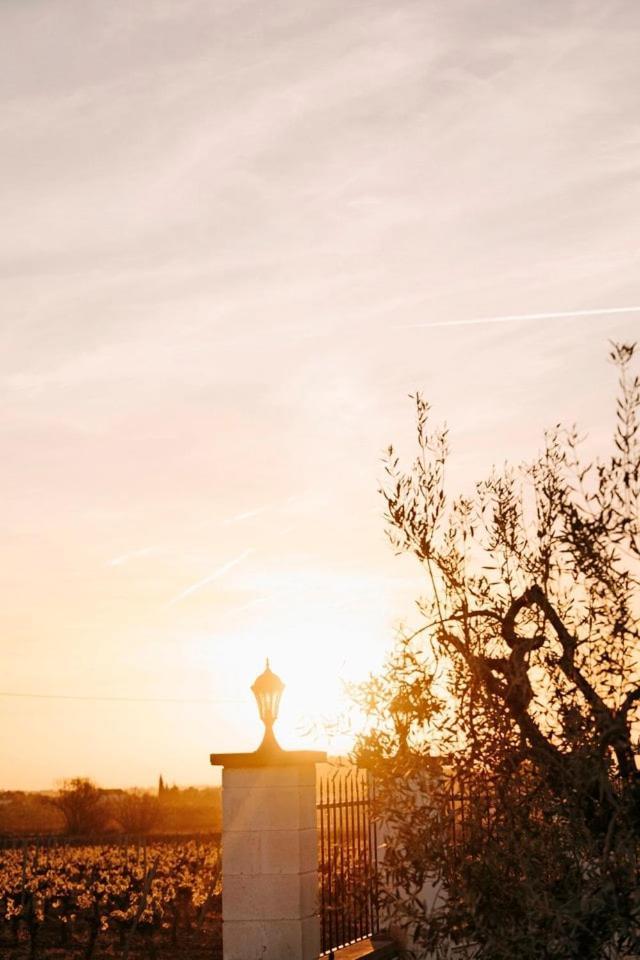 Soul Farm Mas Els Igols Villa Torrellas de Foix Buitenkant foto