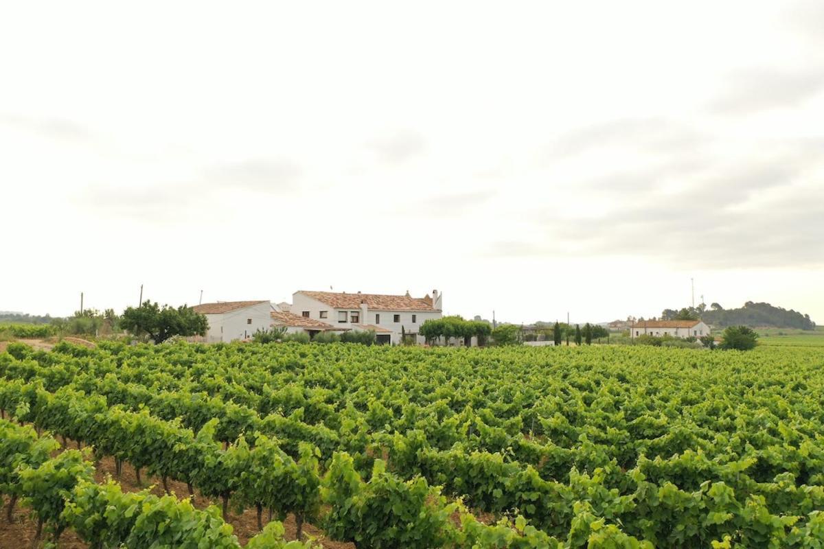 Soul Farm Mas Els Igols Villa Torrellas de Foix Buitenkant foto