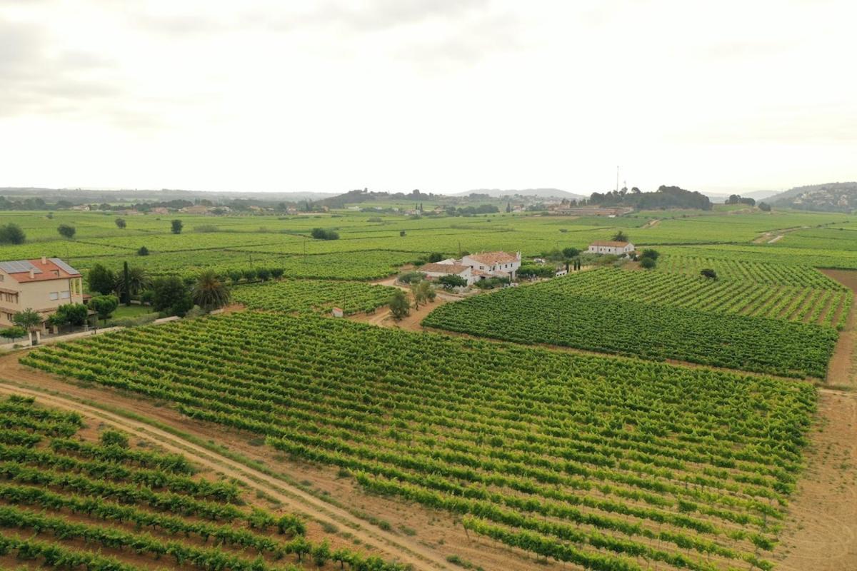 Soul Farm Mas Els Igols Villa Torrellas de Foix Buitenkant foto